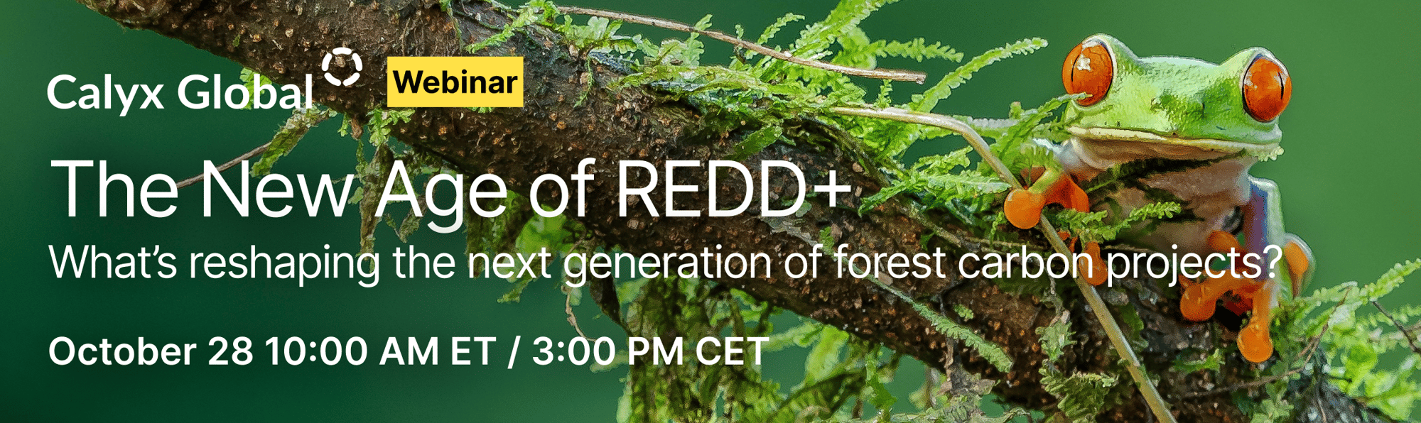 REDD+ Webinar - Landing page